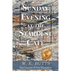 Sunday Evening at the Stardust Cafe' - Paperback