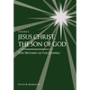Jesus Christ, the Son of God, the Witness of the Gospels, Vol. 4 - Hardcover