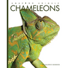 Chameleons - Paperback
