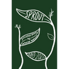 sprout: selected poems - Paperback