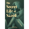 The Secret Life of Saeed: The Pessoptimist - Paperback