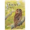 The Tawny Owl - Paperback