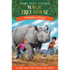 Rhinos at Recess - Paperback