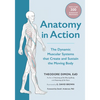Anatomy in Action: The Dynamic Muscular Systems That Create and Sustain the Moving Body - Paperback