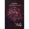 Tantra: La liberación en el mundo - Paperback
