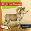 Bighorn Sheep - Paperback