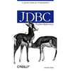 JDBC Pocket Reference: A Quick Guide for Programmers - Paperback