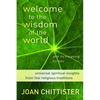 Welcome to the Wisdom of the World and Its Meaning for You - Paperback