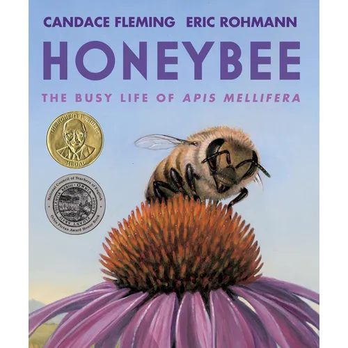 Honeybee: The Busy Life of APIs Mellifera - Hardcover