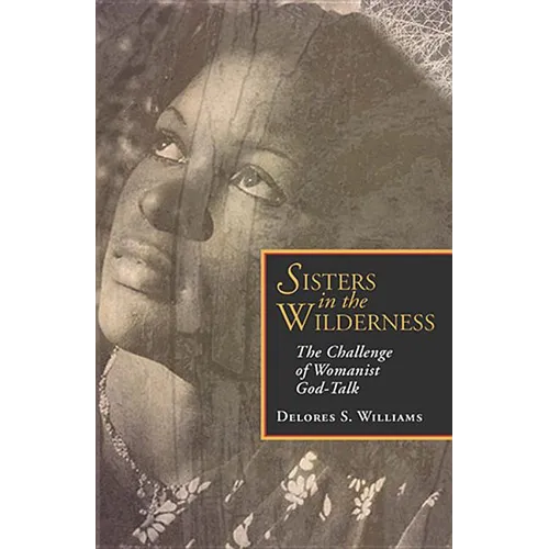 Sisters in the Wilderness: The Challenge of Womanist God - Paperback