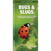 Bugs & Slugs, 2nd Ed: A Folding Pocket Guide to Familiar North American Invertebrates