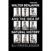 Walter Benjamin and the Idea of Natural History - Paperback