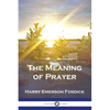 The Meaning of Prayer - Paperback