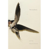 The Swallows - Paperback