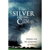 Every Silver Lining Has a Cloud: Relapse and the Symptoms of Sobriety - Paperback
