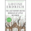 The Last Report on the Miracles at Little No Horse - Paperback