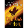 Call Down the Hawk (the Dreamer Trilogy, Book 1) - Paperback