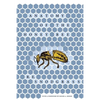 Anatomy of the Honey Bee - Hardcover