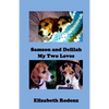 Samson and Delilah - Paperback