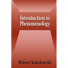 Introduction to Phenomenology - Paperback