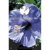 Think About It Volume IV: A Collection of Essays - Paperback