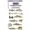 Ohio Freshwater Fishes: A Folding Pocket Guide to Native and Introduced Species