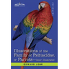 Illustrations of the Family of Psittacidae: or Parrots: the Greater Part of Them Species Hitherto Unfigured Containing Forty-Two Lithographic Plates, - Hardcover