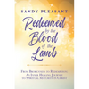 Redeemed by the Blood of the Lamb: From Brokenness to Redemption: An Inner Healing Journey to Spiritual Maturity in Christ - Paperback