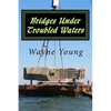 Bridges Under Troubled Waters: Upper Chesapeake and Tidal Potomac Fishing Reefs - Paperback