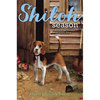 Shiloh Season - Hardcover