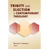 Trinity and Election in Contemporary Theology - Paperback