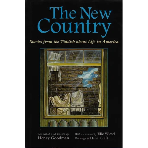 The New Country: Stories from the Yiddish about Life in America - Hardcover