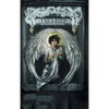 Raven by Edgar Allan Poe Illustrated by Gustave Doré - Hardcover