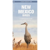 New Mexico Birds: A Folding Pocket Guide to Familiar Species - Paperback