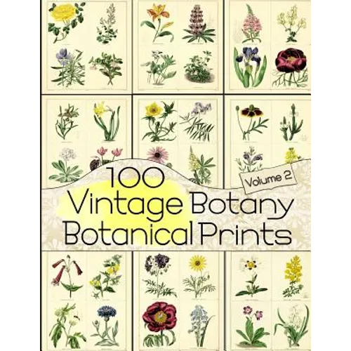 100 Vintage Botany Botanical Prints Volume 2 - Paperback