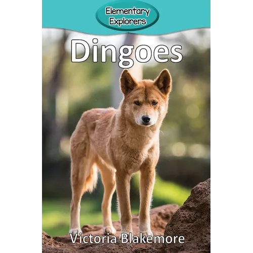 Dingoes - Paperback