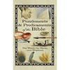Puzzlements & Predicaments of the Bible - Paperback