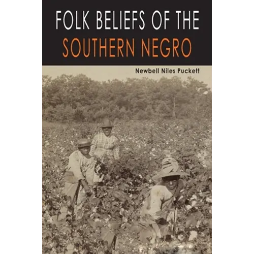 Folk Beliefs of the Southern Negro - Paperback