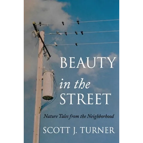 Beauty in the Street: Nature Tales from the Neighborhood - Paperback