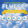 Those Clouds Sure Look Fluffy! Weather Books Grade 4 Children's Earth Sciences Books - Paperback