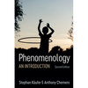 Phenomenology: An Introduction - Hardcover