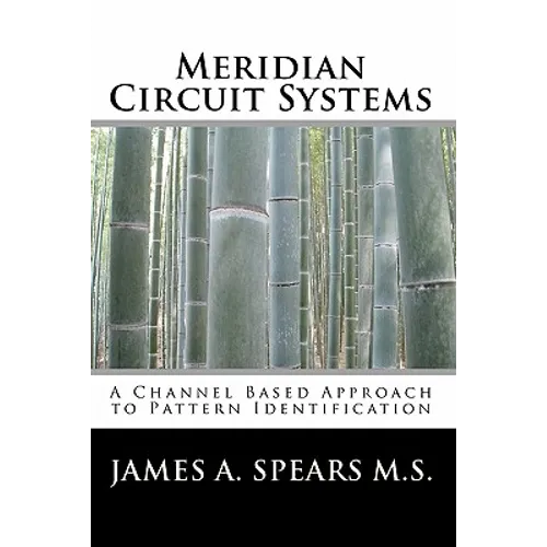 Meridian Circuit Systems: A Channel Based Approach to Pattern Identification - Paperback