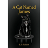 A Cat Named James - Paperback