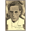 Leo: A Hero of the Dutch Resistance - Paperback