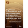 Clay Mineral Transformations after Bentonite/Clayrocks and Heater/Water Interactions from Lab and Large-Scale Tests - Hardcover