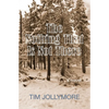 The Nothing That Is Not There - Paperback
