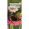 Wisconsin Butterflies & Pollinators: A Folding Pocket Guide to Familiar Species