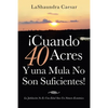 ¡Cuando 40 Acres Y Una Mula No Son Suficientes!: La Jubilación No Es Una Edad Sino Un Número Económico - Paperback
