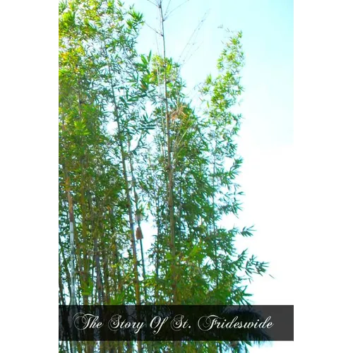 The Story Of St. Frideswide: Virgin And Patroness of Oxford - Paperback