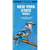New York State Birds: A Folding Pocket Guide to Familiar Species